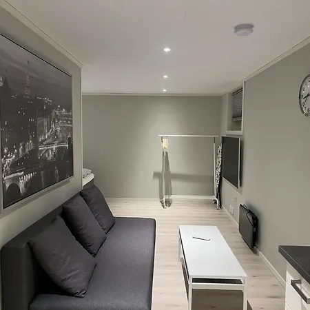 Cozy Basement In