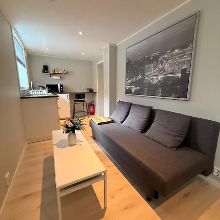 Koselig Leilighet Med Egen Inngang Og Parkering