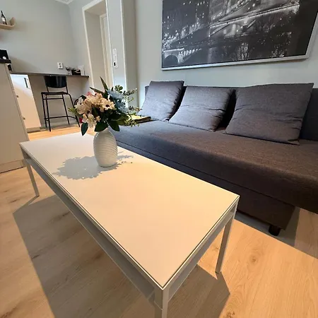 Cozy Basement In Maison d'hôtes Orkanger